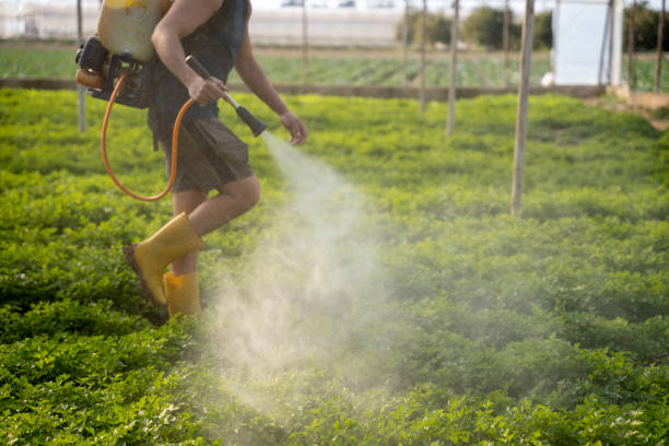 Best Mosquito Control Services  in Cody, WY
