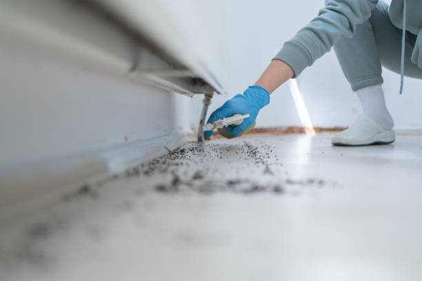Best Pest Removal Services  in Cody, WY