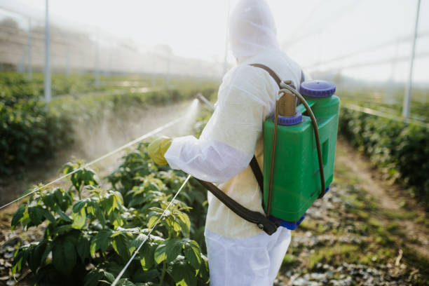 Best Insect Control  in Cody, WY